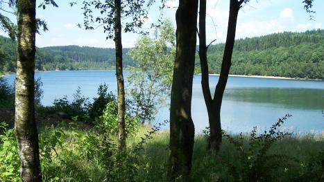 Bild zeigt ein See umgeben von Wald
