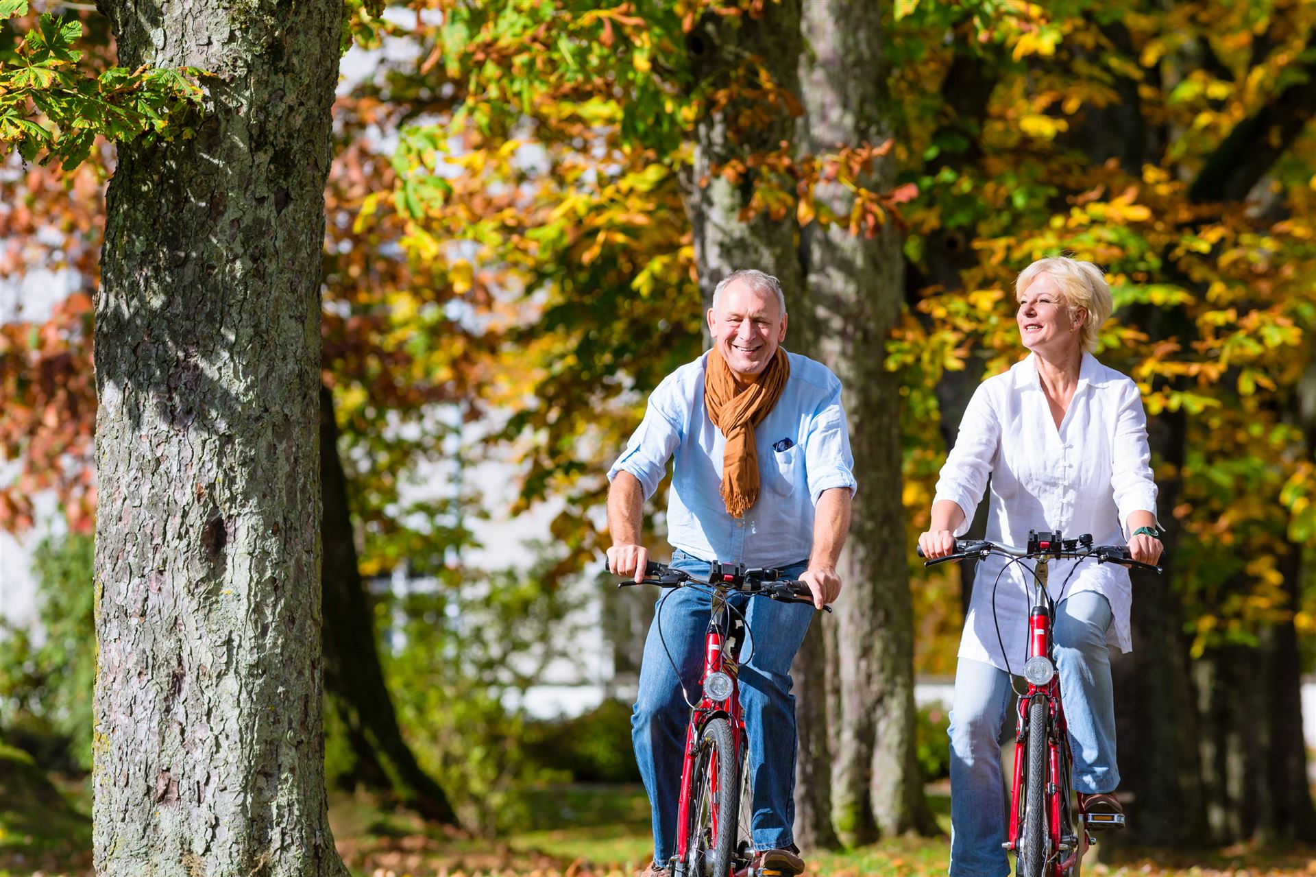 Älteres Ehepaar beim Radfahren im Sommer und in der Natur